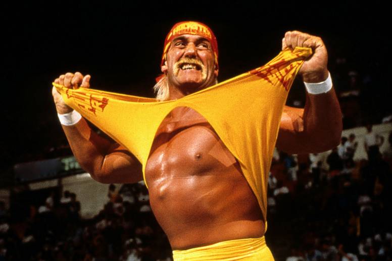 WWE Hulk Hogan