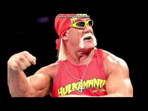 WWE despide a Hulk Hogan por comentarios racista