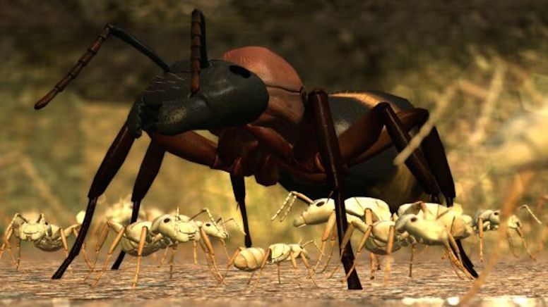 Ant Simulator