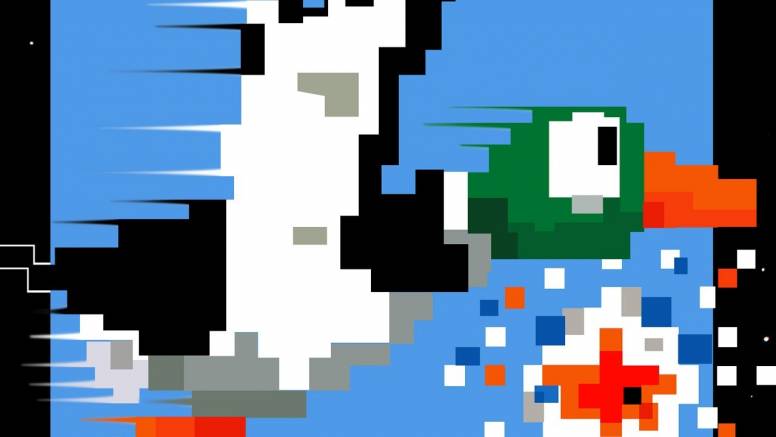 Duck Hunt