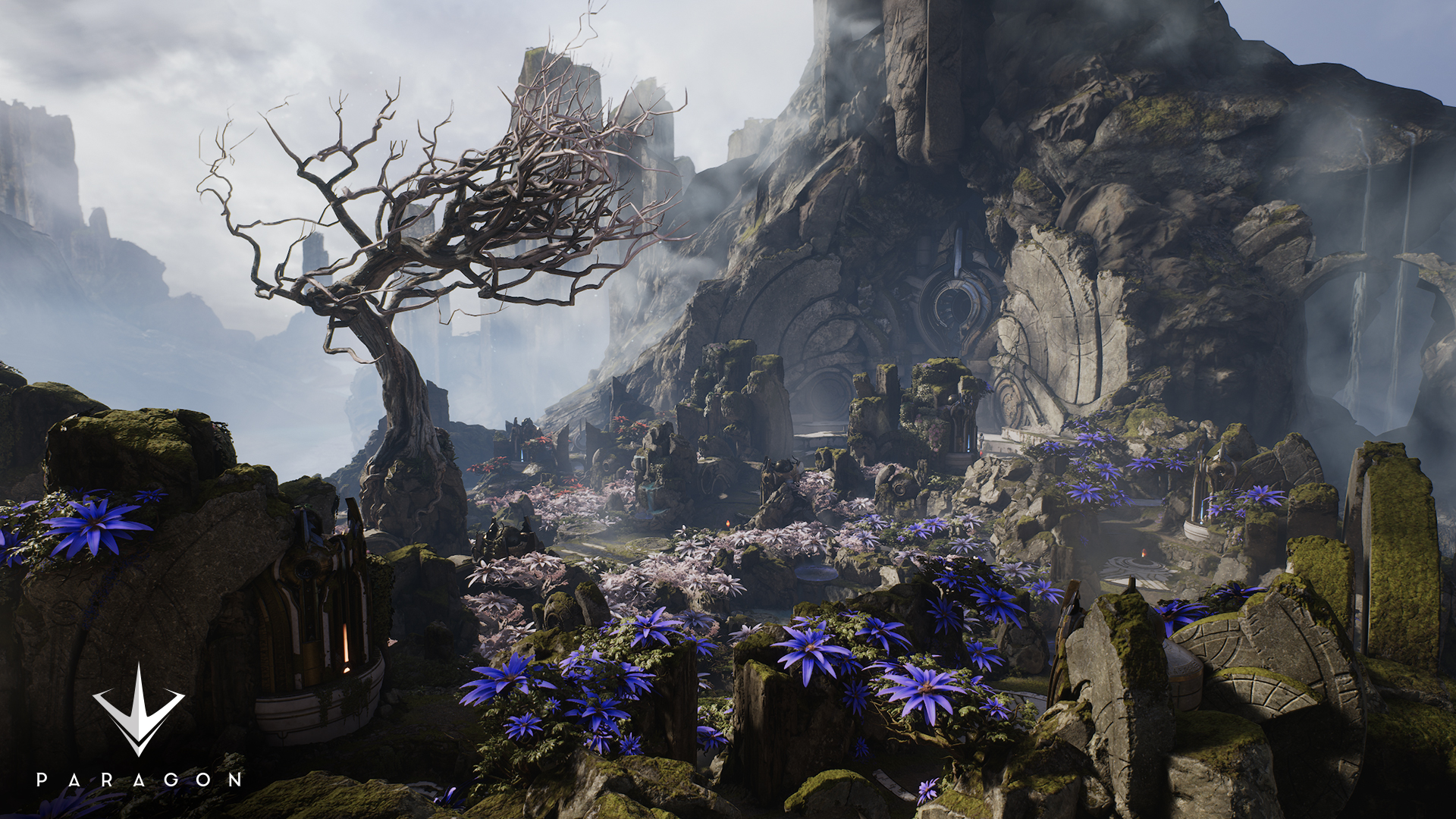 Paragon_Map_BlueJungle