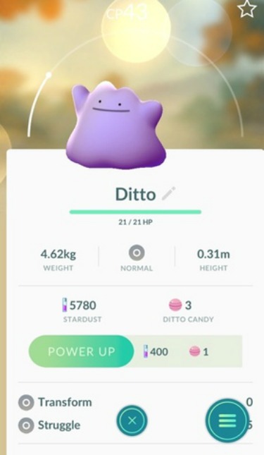 ditto2-375