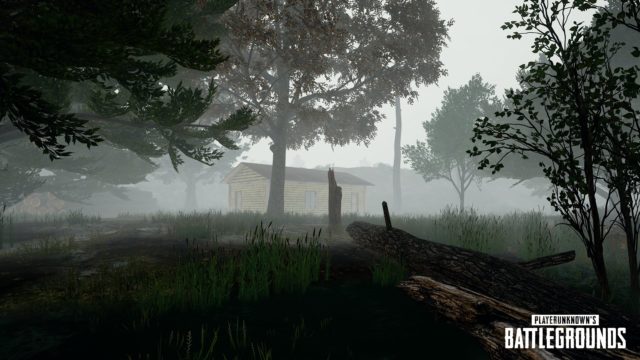 playerunkonw's battlegrounds foggy weather sneak peek 4