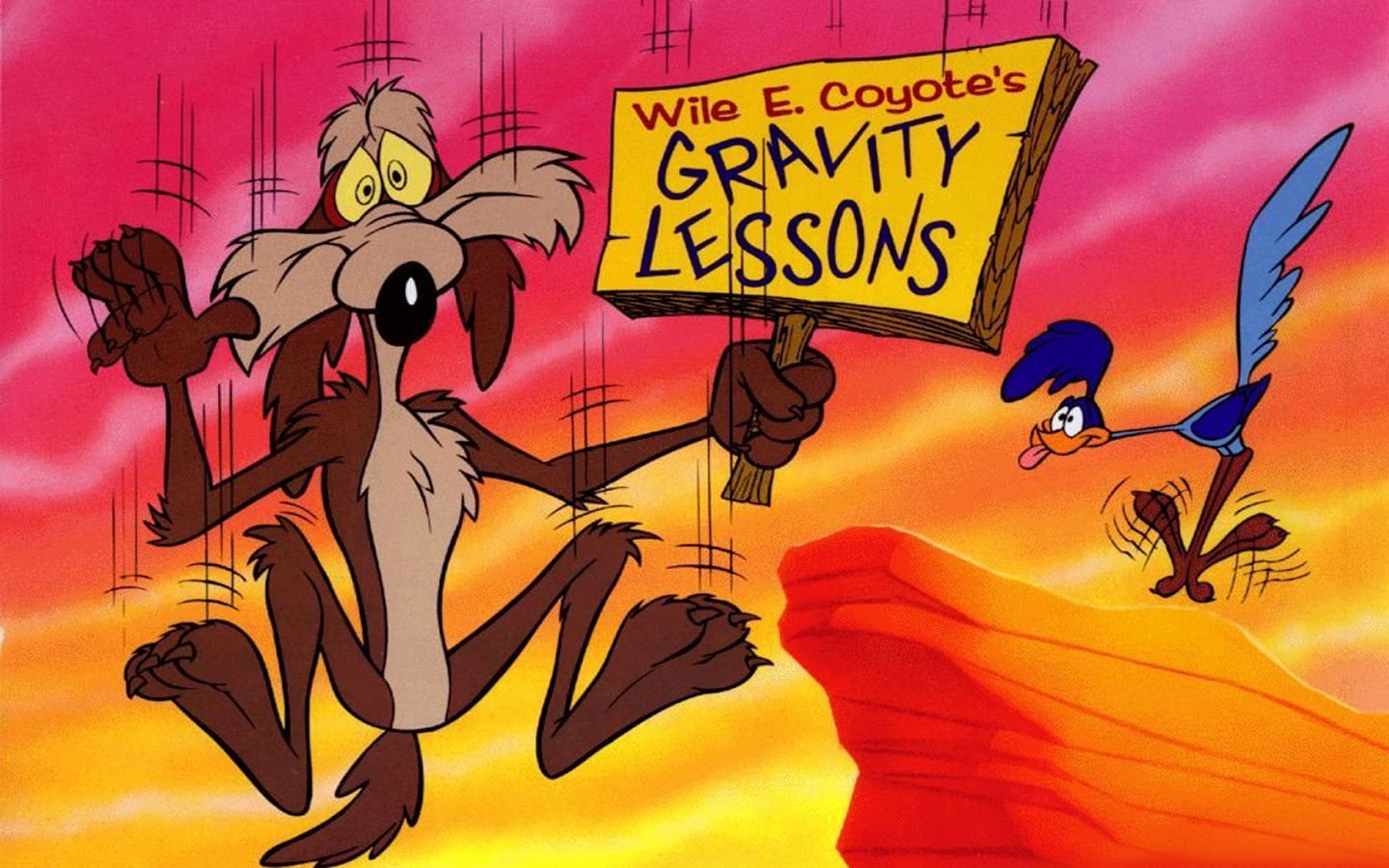 Wile E Coyote looney tunes